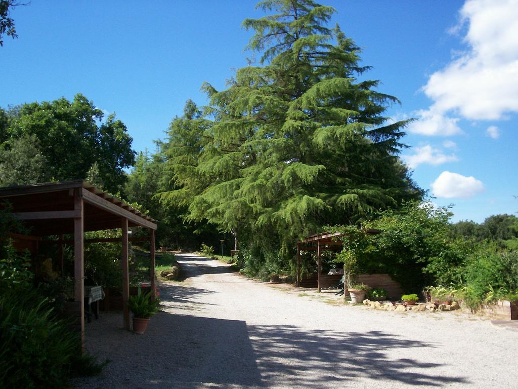Podere Il Caggio Rooms Сан-Джиминьяно Экстерьер фото